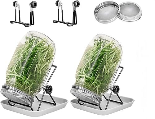 Bocal de Germination, 2 x 1000ml Germoir en Verre Bocal à Germes avec 2 Couvercle à Grille en Acier Inoxydable, 2 Support, 2 Plateau, kit de Bocal à Germes pour Brocoli Luzerne Haricots Verts