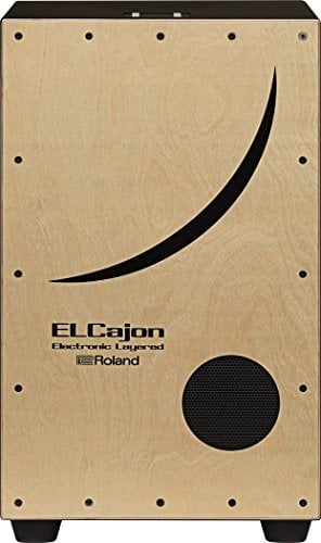 Roland EC-10 EL Cajon