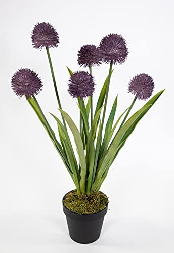 Alliumpflanze 60cm lila im Topf GA Kunstpflanzen Kunstblumen künstliche Pflanzen Blumen Allium