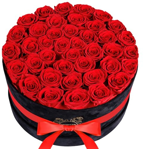 UFOREVER ROSES 40 Stück konservierte Rosen in Wildlederbox, Blumen für Muttertag, konservierte Blumen Geschenk für Frauen, Rot