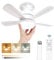 VARICART Ventilatore da Soffitto con Luce e Telecomando, Lampadario Ventilatore Silenzioso LED Dimmerabile, 3 Temperature di Colore 3000K-6000K Lampada con Ventilatore da E27, 5 Pale, 6 Velocità