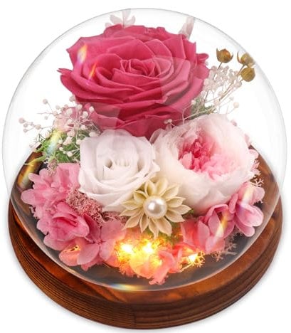 Touloube Regalo per la Regina Della Casa - Rosa Stabilizzata Vera Regalo per la Festa Della Mamma, Avanzate Regalo Donna, Eterna Fiore Bella e la Bestia con Luci LED, Regalo Rosa Moglie Mamma Nonna