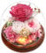 Gifts for Mother, Preserved Eternal Rose in Glass Dome, Real Flowers Gifts for Women, Forever Love Gifts for Mum Wife Girlfriend, Birthday for Her, Christmas Wedding Mother's Day Present, Pink