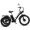 Wasd3Pods Elektrisches Dreirad, 24'' Motorisiertes 7-Gang-Dreirad Für Erwachsene, 750 W, 48 V, 15 Ah, Fat Tire Elektro-Dreirad, LCD-Display + Scheinwerfer, Für Camping-Picknicks,Black