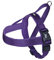 Nobby Norwegergeschirr Classic Preno, lila / lila L: 75-98 cm + 62 cm, B: 40/45 mm, 1 Stück