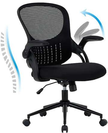 COLAMY Office Chair with Padded 90° Flip-up Armrest, Lumbar Support, Height Adjustable Ergonomic Desk Chair, Executive Swivel Rolling Computer Chair, Comfy Seat Cushion for Home/Office (Black)