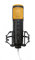 Editors Keys SL600 USB Microphone | Record Amazingly HD Clear Vocals | Comes complete with Case, Cable and Shockmount. Singing, Voice over PC, Mac