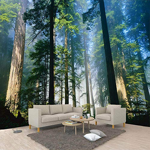 Benutzerdefinierte 3D Wandbilder Tapete Natur Nebel Hochragende Bäume Wald Sonnenschein Foto Wand Papier Wohnzimmer Wandbild Tapete 3D,400*280Cm