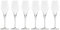 Stolzle Lausitz Quatrophil Champagne Glass/Flutes Transparent 290ml - Set of 6