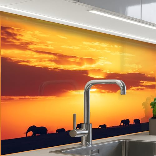KitchenYeah© Credence Cuisine 60x80 cm Adhesif Protection Mur Plaque De Cuisson Plastique Rigide Revetement Murale À Coller Éléphants - Coucher soleil - Animaux - Horizon