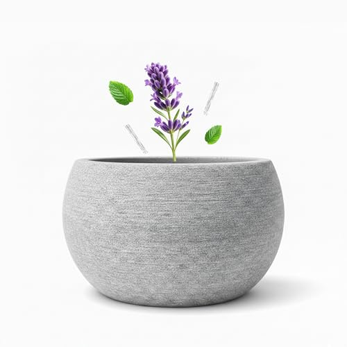 FloraVigo Sauna Aromaschale aus sauna zubehör, 10,5 x 6 cm, Aromatherapie-Schale als Accessoire für Saunaräume, geeignet zur Aufbewahrung von Mentholkristallen und ätherischen Saunaölen