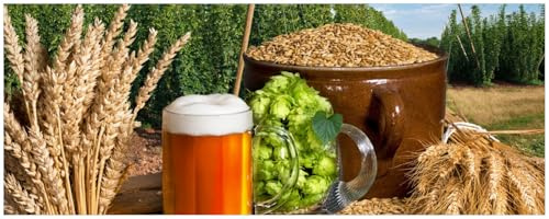 Wallario Küchenrückwand selbstklebend 115 x 50 cm, Motiv: Frisch gezapftes Bier, Hopfen und Malz | Spritzschutz abwischbar & pflegeleicht