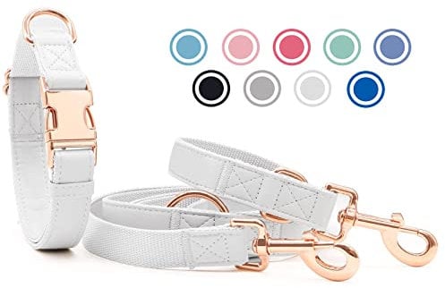 Weich Leder Hundehalsband und Leine (2m) Set - 3-Fach Verstellbar Hundeleine mit Halsband, Stilvollen Rose Gold Metall Schnalle & Nylon Hund Leinen für Welpen Kleine Mittlere Große Hunde Weiß, XS