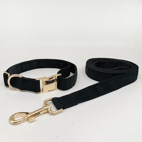 aicanis | Hundehalsband und Leine im Set | Elegante Geschenkbox mit Motiv-Karte | Aus Kord mit Goldener Schnalle | Schwarz | Größe L