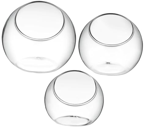 iplusmile 3 pezzi Vasi in Vetro per Micro Bottiglie Trasparenti per Piante DIY Ecologico per Decorazioni Casa e Ufficio