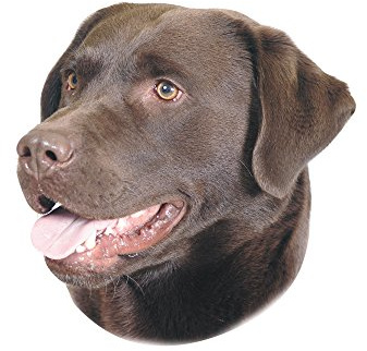 Nobby 93263 Aufkleber Labrador, braun