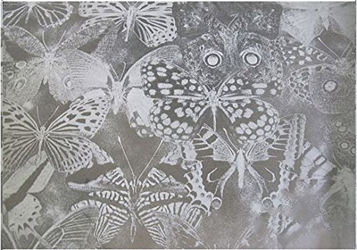 TipTopCarbon 6,57€/m² Fenster Sichtschutzfolie Milchglasfolie Butterfly 152cm Breite Fensterfolie Design Dekofolie Folie Selbstklebend