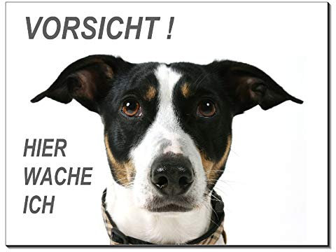Jack Russel Terrier-Schild-3 Größen-Aluminium Verbund-Hund-Tierschild-Hunde-Warnschild-Hinweisschild 7 (1452-8 - 150 x 100 x 2 mm mit Klebepats)