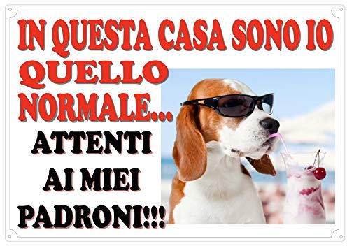 Cartello Targa ATTENTI AL CANE da Cancello UMORISTICA (ATTENTI AI PADRONI) cm 30 x 21,5