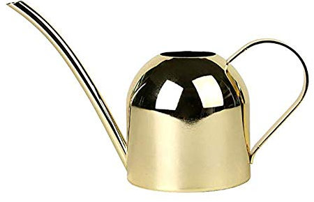 LEDGOO Edelstahl Lange Gießkanne Topf Metall für Zimmerpflanze Indoor Outdoor 500Ml