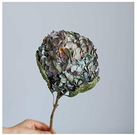 Hortensia d'automne/fleur séchée/bouquet/simple/ameublement de vraie fleur naturelle-bleu