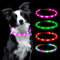 AUAUY LED Leuchthalsband Hund, USB Aufladbar Längenverstellbarer Haustier Sicherheit Silikon Kragen Zuschneidbares Wasserdicht Leuchthalsband für Hunde und Katzen, 4 Modus (Rosa)