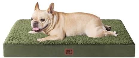 EHEYCIGA Orthopädisches Hundebett Kleine Hunde 76x51x9cm, Hundekissen Waschbar Flauschig, Hundematte Hundematratze für Kiste, Olive Grün