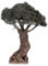 Holyart Albero ulivo Lavorato presepe Napoletano 8 cm Altezza Reale 25 cm