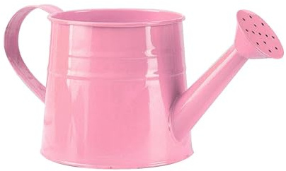 Generisch 1L Gießkanne aus Metall, Gartengießkanne mit dem Brausekopf, Handliche Giesskanne für Innen und Außenbereich Ideal für Bewässerung für Zimmerpflanzen (Leuchtend Rosa)