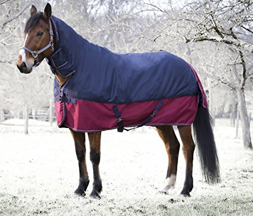Pferde Outdoordecke Weidedecke Equitheme TYREX 1200 mit Halsteil Denier 200g Füllung, wasserdicht, atmungsaktiv, Kreuzgurte, Schweiflatz, 165 cm