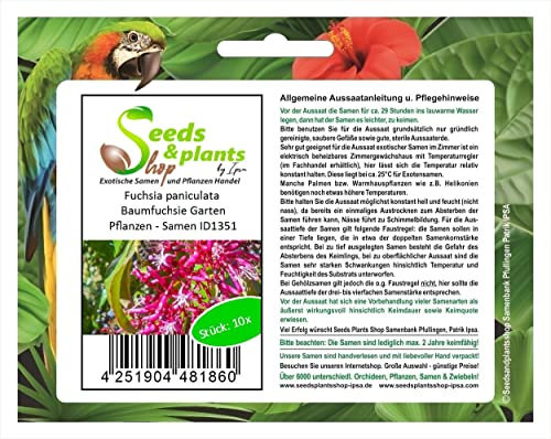 Pcs - 10x Fuchsia Paniculata Baumfuchsie Jardin Plantes - Graines ID1351 - Seeds & Plants Shop by Ipsa