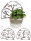 3 Soportes Macetas Pared de Estilo Vintage, Hierro Fundido, Blanco, Ø 14,5 cm