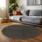 Carpettex Wohnzimmer Teppich - Kurzflor Modern Einfarbig 160 cm Rund Anthrazit - Waschbar Extra Weich Flauschig für Küche, Schlafzimmer, Kinderzimmer, Esszimmer, Flur