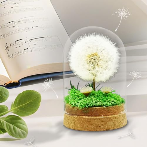 Tongyixin WunscherfüLler Pusteblume Glas Deko | Geburtstagsgeschenk Für Freundin Pusteblume im Glas Deko Blumen Geschenk FüR Weihnachten, Valentinstag, Hochzeit, MäDchen