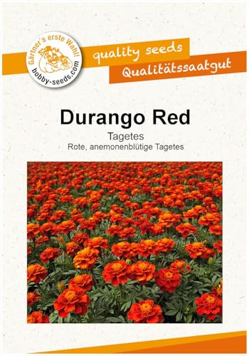 Blumensamen Durango Red Tagetes Portion