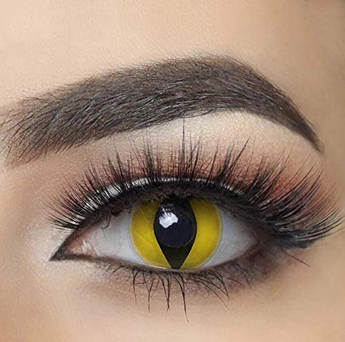 Mysa Lens Chat Jaune- Lentes de contacto de color de fantasía, anuales, sin graduación, incluye solución de 10 ml y estuche, para cosplay, color amarillo con pupila de gato en negro