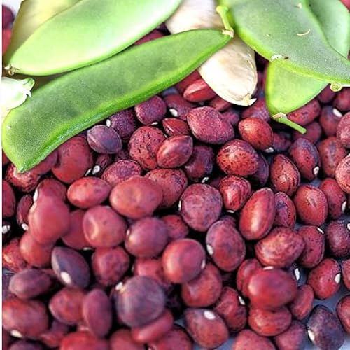 TomorrowSeeds - Dixie Speckled Butterpea Lima Bean Seeds - 150+ Count - For 2026 Planting Southern Baby Butter Beans Heirloom Non-GMO Red and Brown Peas Vegetable Grow Your Own Home Farm Patio Healthy