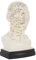 Akupunkturmodell Kopf 20 cm, Anatomie Modell, Anatomische Lehrmittel