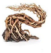 Aquarium Wood Bonsai Tree Decoration Premium Pieces Aquascaping Root Iwagumi Horn S 22x15x10cm