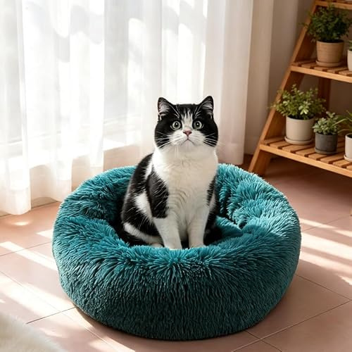 PETCUTE Katzenbett Gross Flauschige Hundebetten kleine Hund Katzenbetten runde gemütliches Haustierbett Waschbares weiches Bett für Kätzchen