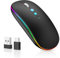 LED Funkmaus für Computer,Kabellos Tragbare PC Maus Wiederaufladbar mit 2,4GHz USB/USB-C Dual Empfänger, DPI,Zurück Taste-kompatibel mit TypeC-Geräten/AppleMacBook Air/Pro,iPad,Laptop,Tablet (Schwarz)