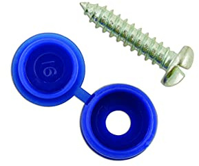 Connect 30336 Blue Number Plate Security Screw 100pc