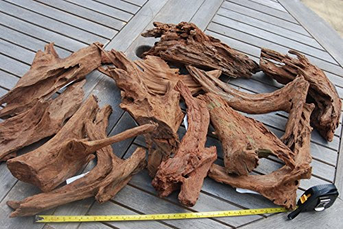 Other Large Mangrove AQUARIUM BOGWOOD ROOT (x1) size 20-30cm aquascaping wood driftwood for java moss or fern