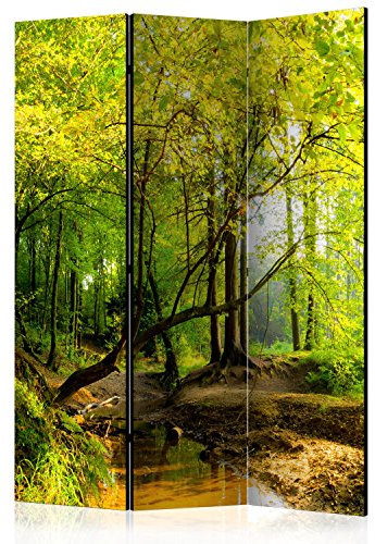 murando Raumteiler Foto Paravent Natur 135x172 cm beidseitig auf Vlies-Leinwand Bedruckt Trennwand Spanische Wand Sichtschutz Raumtrenner Home Office Wald c-B-0354-z-b