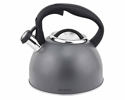 Edelstahl Flötenkessel I Wasserkocher I Teekocher I XXL Volumen 3 Liter I Grau I Retro Style I Induktion I Flöten Wasser Kessel I
