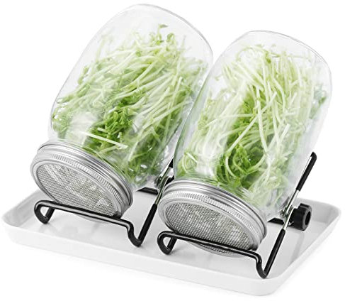 Set de bocaux à pousses | Lot de 2 bocaux à pousses de 1000ml avec couvercles et supports et coupelles | pour la culture de pousses et la germination de graines