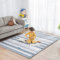 Loartee Korallenvlies Teppich Kinderzimmerteppich Spielteppich,Samtmatte Baby,Krabbeldecke fürs Kinder