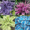 Funkien zwiebeln,Hosta Wurzel,winterharte Blumenzwiebeln,Umwelt verschönern,funkien knollen,funkien rhizome,hosta plant,funkien kaufen,hostas funkien,hosta pflanze winterhart.-8zwiebeln-greenC