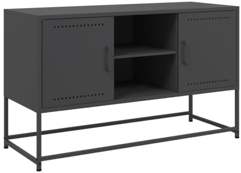 vidaXL TV Schrank, Fernsehschrank mit Stauraum, Fernsehtisch für Wohnzimmer Schlafzimmer, Lowboard TV Möbel, Industrie-Stil, Schwarz Stahl