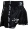 BAY Pro-Equip Mesh Muay Thai Short (schwarz/schwarz, L)